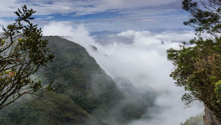 Silent_valley_Kodaikanal